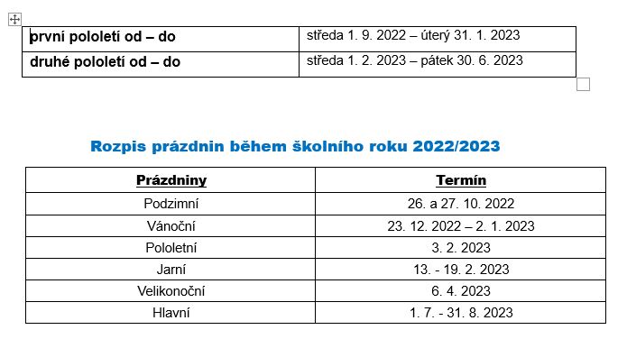 organizace školního roku