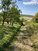 19A020A4-B2F6-4FA4-852C-FE7523D7F4D1.jpeg