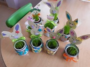 20190412_124901_resized (2).jpg