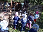 20190919_102807_resized.jpg