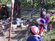 20190919_102907_resized.jpg