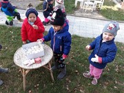 20191031_101516_resized.jpg