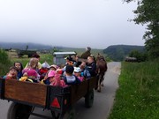 20200618_085937.jpg
