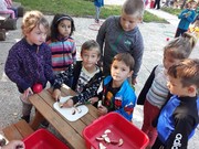 20200914_093556.jpg