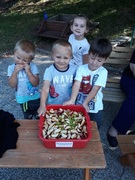 20200914_104625.jpg