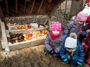 20210204_095640.jpg