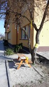 20210401_101016_resized.jpg