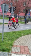 20230419_103024.jpg