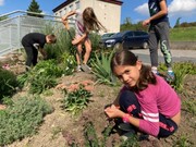 79757645-AE0B-4267-8121-B95461B5CF10.jpeg