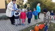b1990ff4-d131-4f44-b234-1ef57b403fa3.JPG