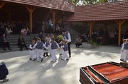 DSC_0374.JPG