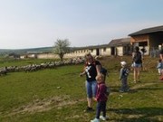 DSCN5071.JPG