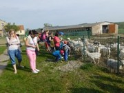 DSCN5097.JPG