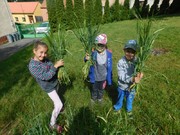 DSCN6017.JPG