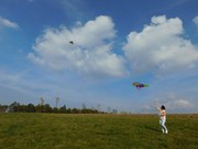 DSCN6302.JPG