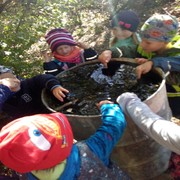 IMG_20181005_103706.jpg