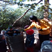 IMG_20181005_103727.jpg