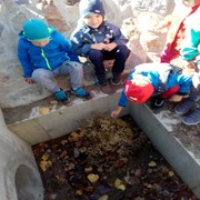 IMG_20181005_105153.jpg