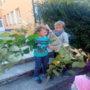 IMG_20181011_103906.jpg