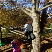 IMG_20181011_104425.jpg