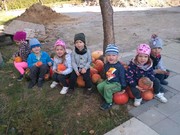 IMG_20181011_104819.jpg