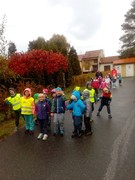 IMG_20181018_093246.jpg