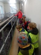 IMG_20181018_094818.jpg