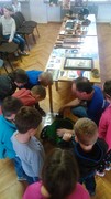 IMG_20181031_110803.jpg