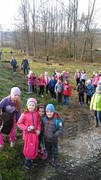 IMG_20181108_090625.jpg