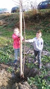 IMG_20181108_092446.jpg
