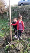 IMG_20181108_092526.jpg