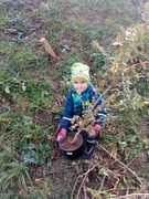 IMG_20181108_095008.jpg