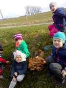 IMG_20181108_100359.jpg