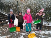 IMG_20181119_102841.jpg