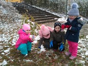 IMG_20181119_104010.jpg