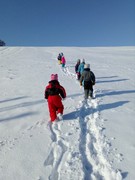 IMG_20190205_101739.jpg
