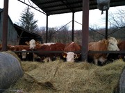 IMG_20190314_101541_HDR.jpg