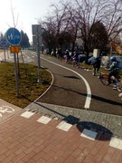 IMG_20190322_094238.jpg
