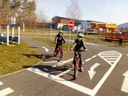 IMG_20190322_094945.jpg