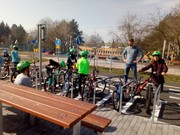 IMG_20190322_095237.jpg