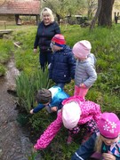 IMG_20190424_104831.jpg
