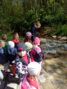 IMG_20190524_094702.jpg