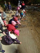 IMG_20190524_094731.jpg