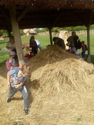 IMG_20190531_101459.jpg