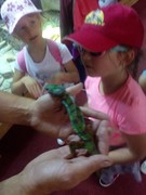IMG_20190531_105852.jpg