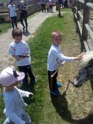 IMG_20190531_131639.jpg