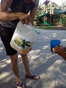 IMG_20190618_090743.jpg