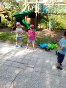 IMG_20190618_091159.jpg