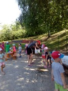 IMG_20190618_095456.jpg