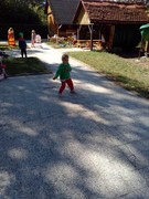 IMG_20190905_104649.jpg
